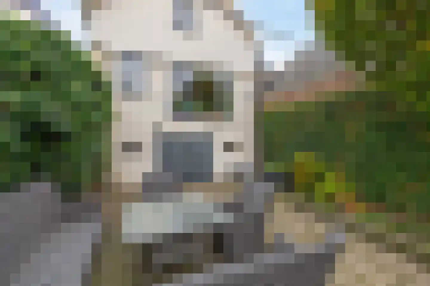 Nieuwlandsedijk 87 Lage Zwaluwe thumbnail 31