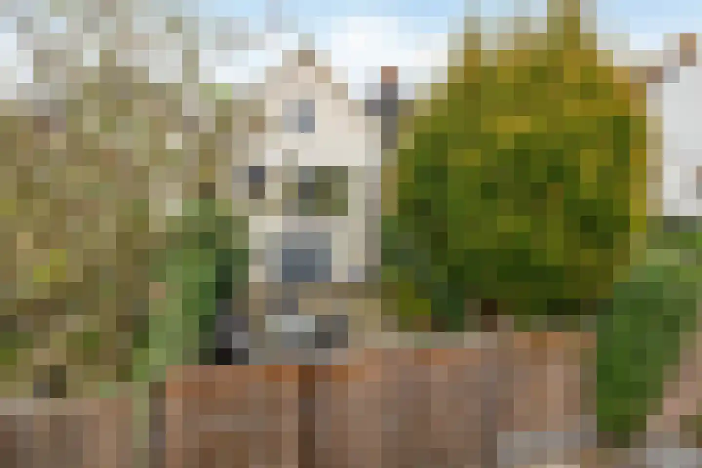 Nieuwlandsedijk 87 Lage Zwaluwe thumbnail 34