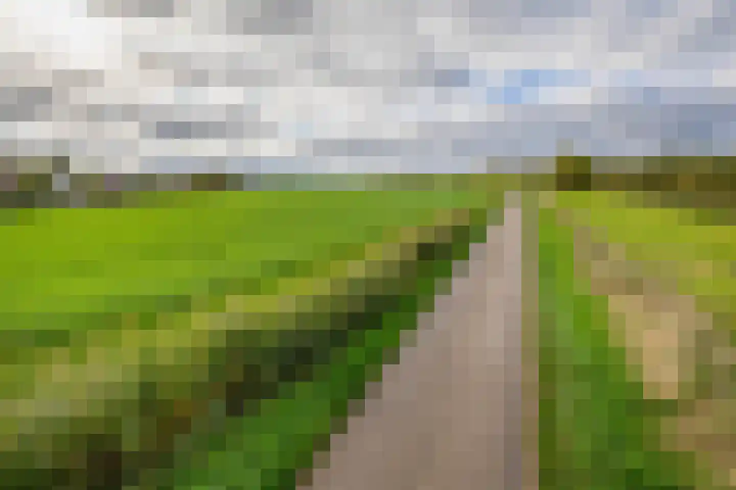 Nieuwlandsedijk 87 Lage Zwaluwe thumbnail 36