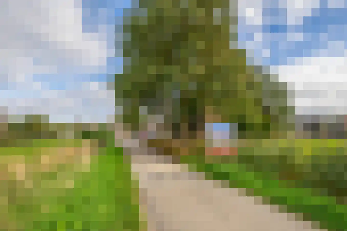 Nieuwlandsedijk 87 Lage Zwaluwe thumbnail 37