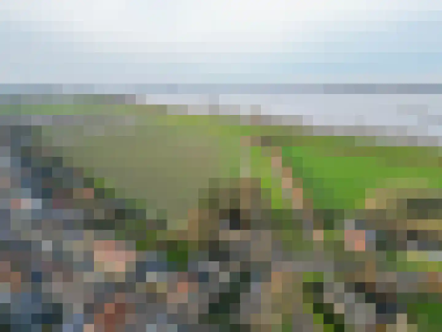 Nieuwlandsedijk 87 Lage Zwaluwe thumbnail 39