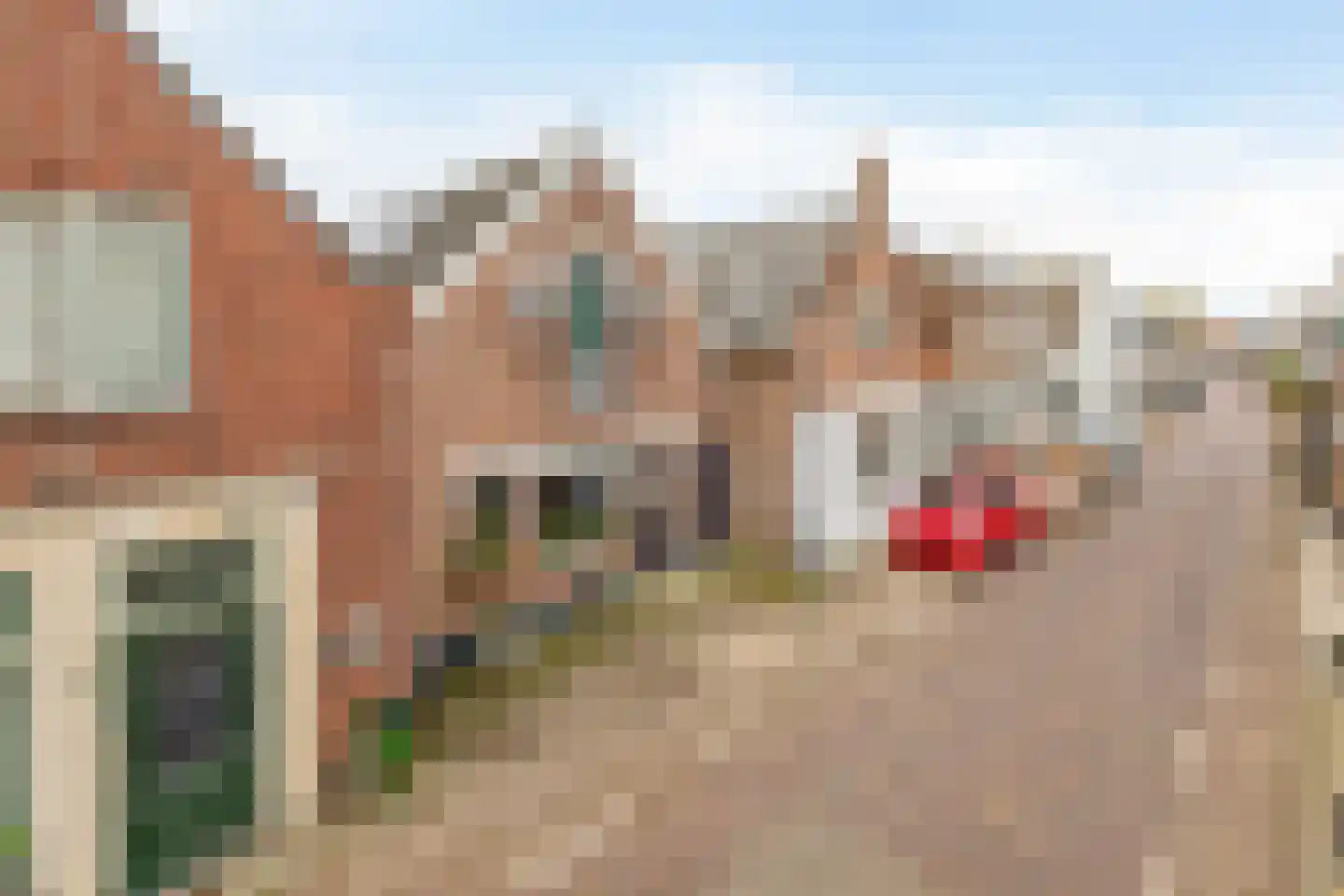 Nieuwlandsedijk 87 Lage Zwaluwe thumbnail 7
