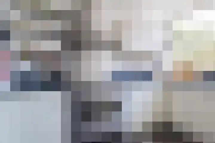 Nieuwlandsedijk 89 Lage Zwaluwe thumbnail 12