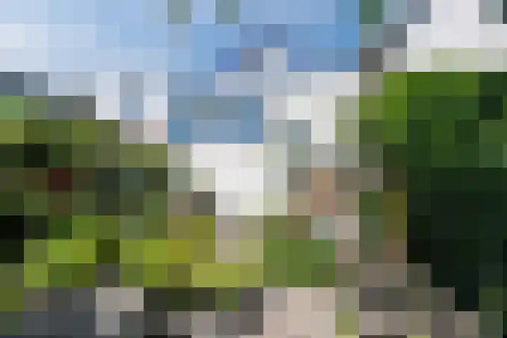 Nieuwlandsedijk 89 Lage Zwaluwe thumbnail 30