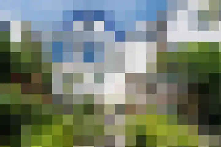 Nieuwlandsedijk 89 Lage Zwaluwe thumbnail 31