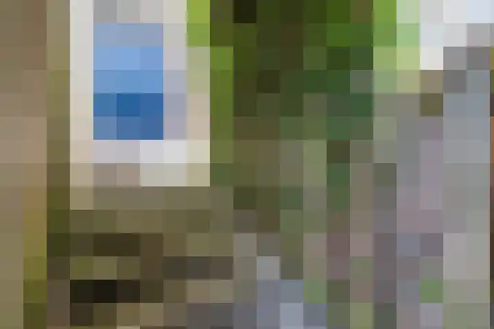 Nieuwlandsedijk 89 Lage Zwaluwe thumbnail 32