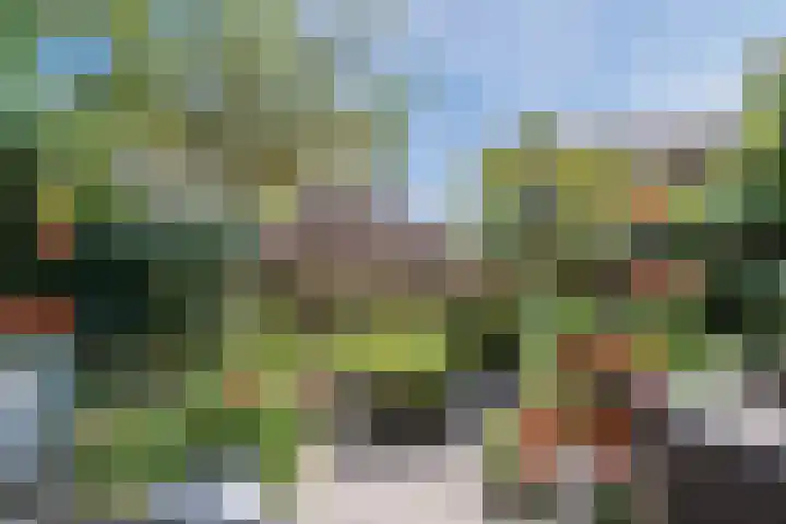 Nieuwlandsedijk 89 Lage Zwaluwe thumbnail 33