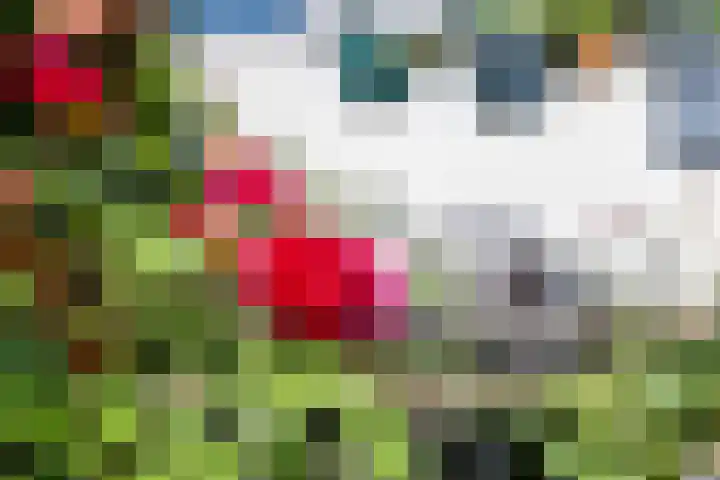 Nieuwlandsedijk 89 Lage Zwaluwe thumbnail 34