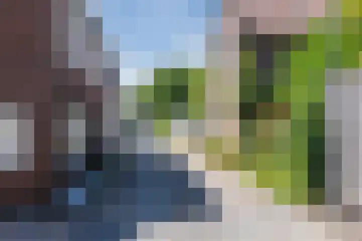 Nieuwlandsedijk 89 Lage Zwaluwe thumbnail 36