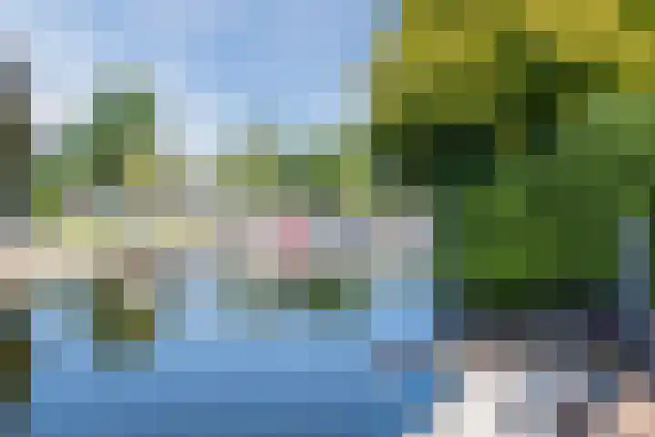 Nieuwlandsedijk 89 Lage Zwaluwe thumbnail 37
