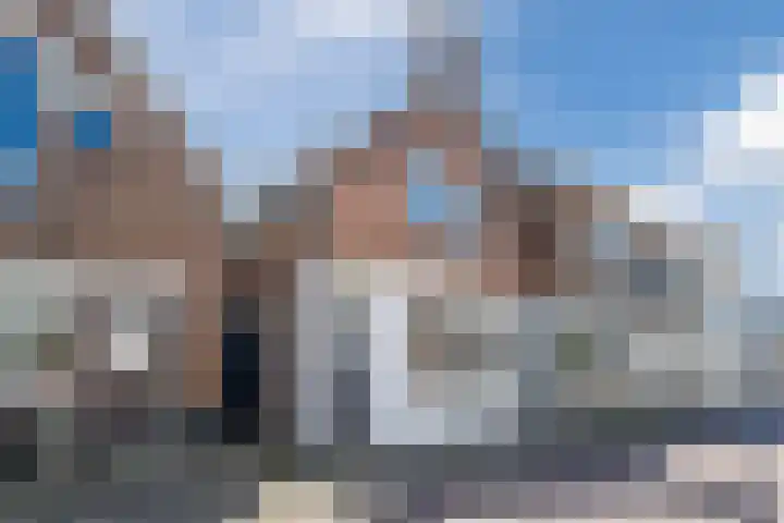 Nieuwlandsedijk 89 Lage Zwaluwe thumbnail 4