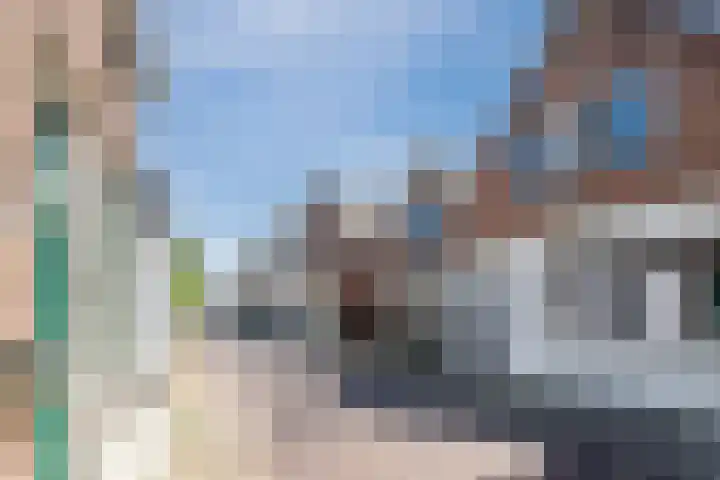 Nieuwlandsedijk 89 Lage Zwaluwe thumbnail 5