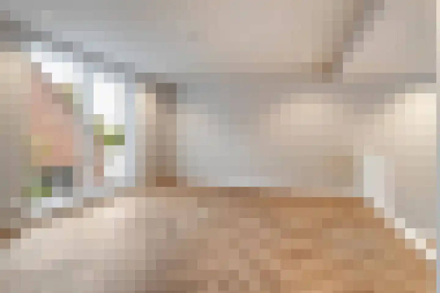 Nieuwlandsedijk 91 Lage Zwaluwe thumbnail 10