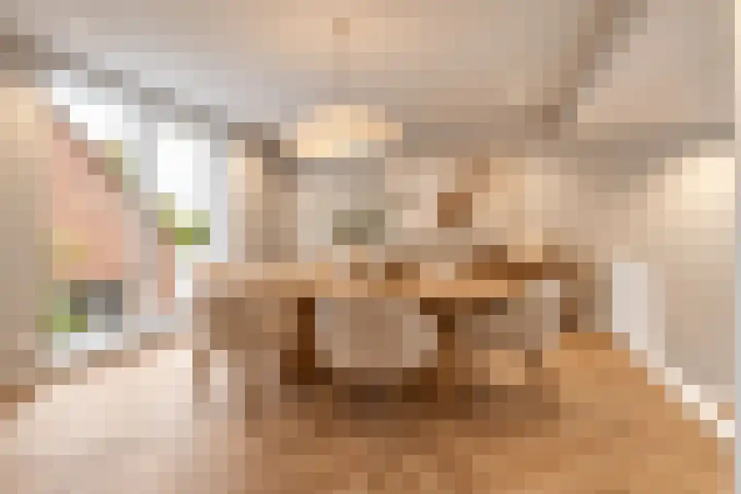 Nieuwlandsedijk 91 Lage Zwaluwe thumbnail 11