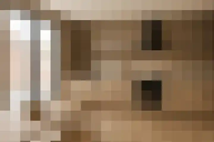 Nieuwlandsedijk 91 Lage Zwaluwe thumbnail 11