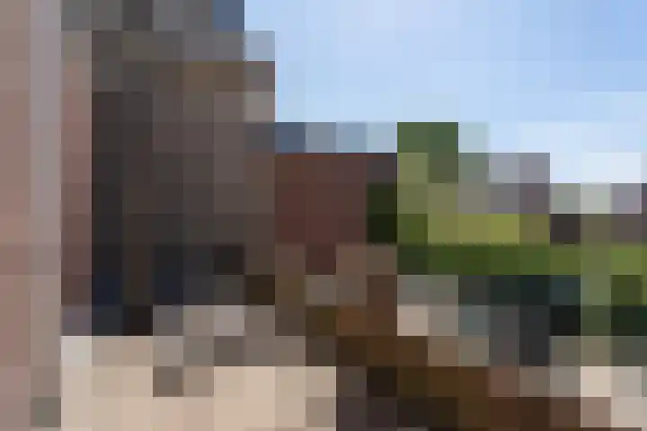 Nieuwlandsedijk 91 Lage Zwaluwe thumbnail 13
