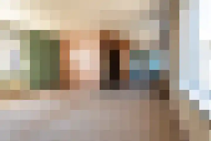 Nieuwlandsedijk 91 Lage Zwaluwe thumbnail 16