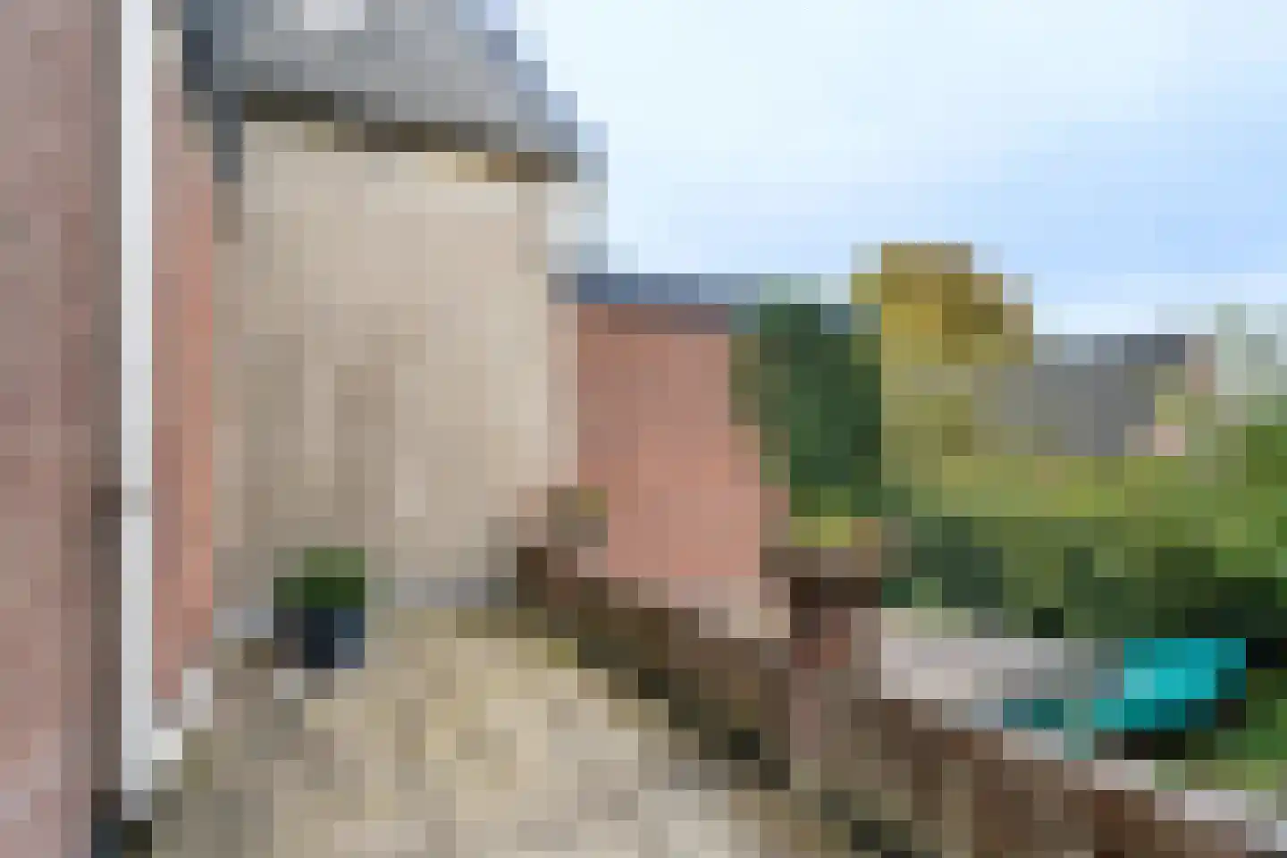 Nieuwlandsedijk 91 Lage Zwaluwe thumbnail 17