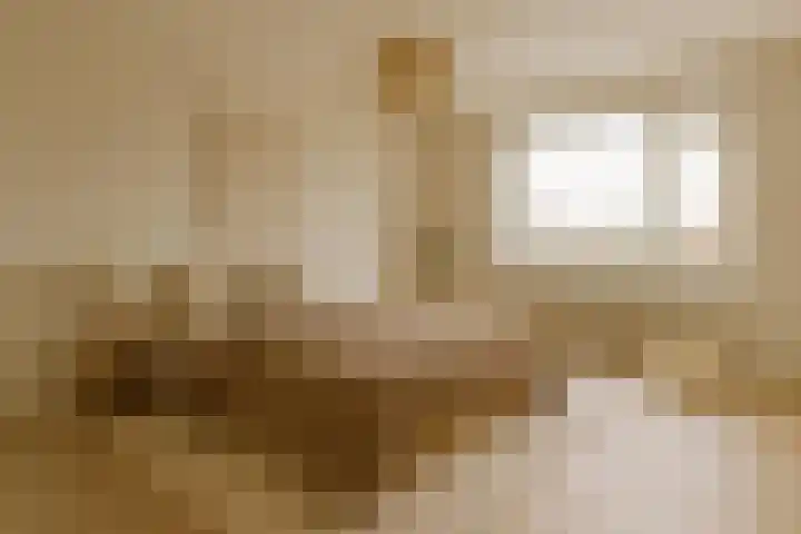 Nieuwlandsedijk 91 Lage Zwaluwe thumbnail 19