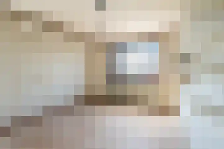 Nieuwlandsedijk 91 Lage Zwaluwe thumbnail 22