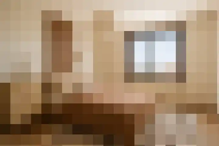 Nieuwlandsedijk 91 Lage Zwaluwe thumbnail 23