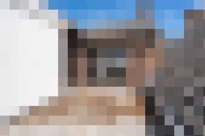 Nieuwlandsedijk 91 Lage Zwaluwe thumbnail 27