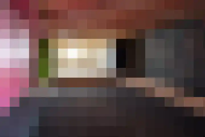 Nieuwlandsedijk 91 Lage Zwaluwe thumbnail 28