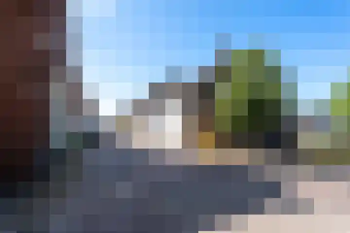 Nieuwlandsedijk 91 Lage Zwaluwe thumbnail 30
