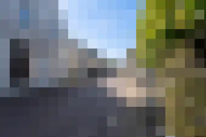 Nieuwlandsedijk 91 Lage Zwaluwe thumbnail 34