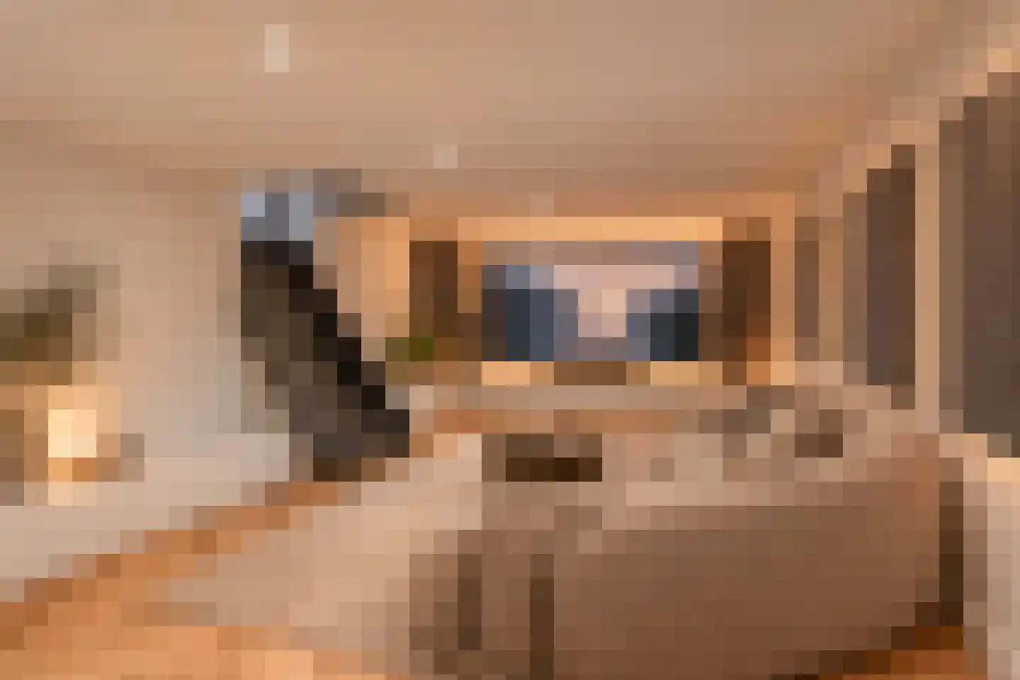 Nieuwlandsedijk 91 Lage Zwaluwe thumbnail 36