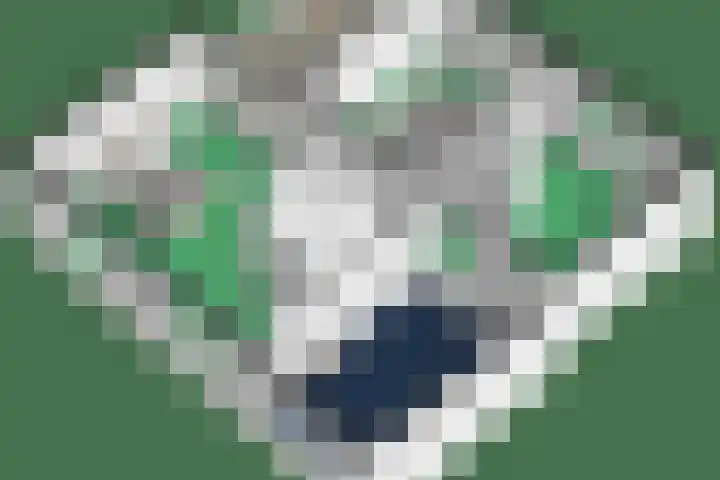 Nieuwlandsedijk 91 Lage Zwaluwe thumbnail 38