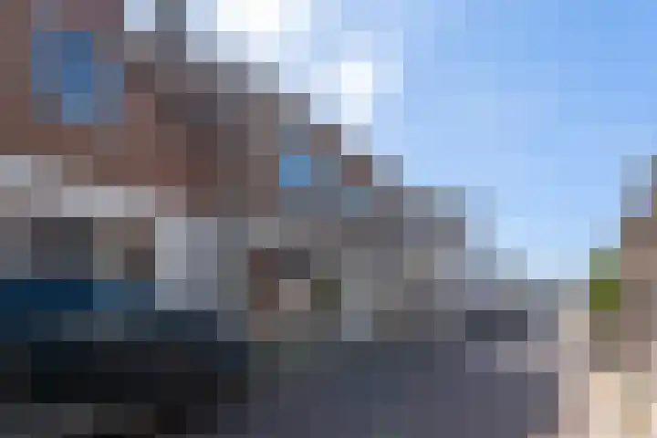 Nieuwlandsedijk 91 Lage Zwaluwe thumbnail 4