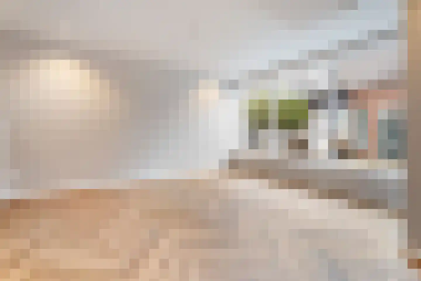 Nieuwlandsedijk 91 Lage Zwaluwe thumbnail 4