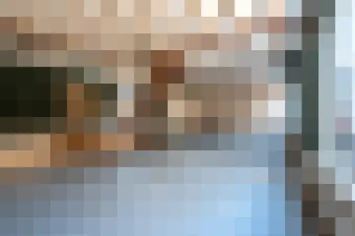 Nieuwlandsedijk 91 Lage Zwaluwe thumbnail 5