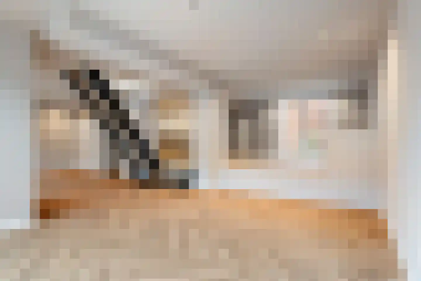 Nieuwlandsedijk 91 Lage Zwaluwe thumbnail 5
