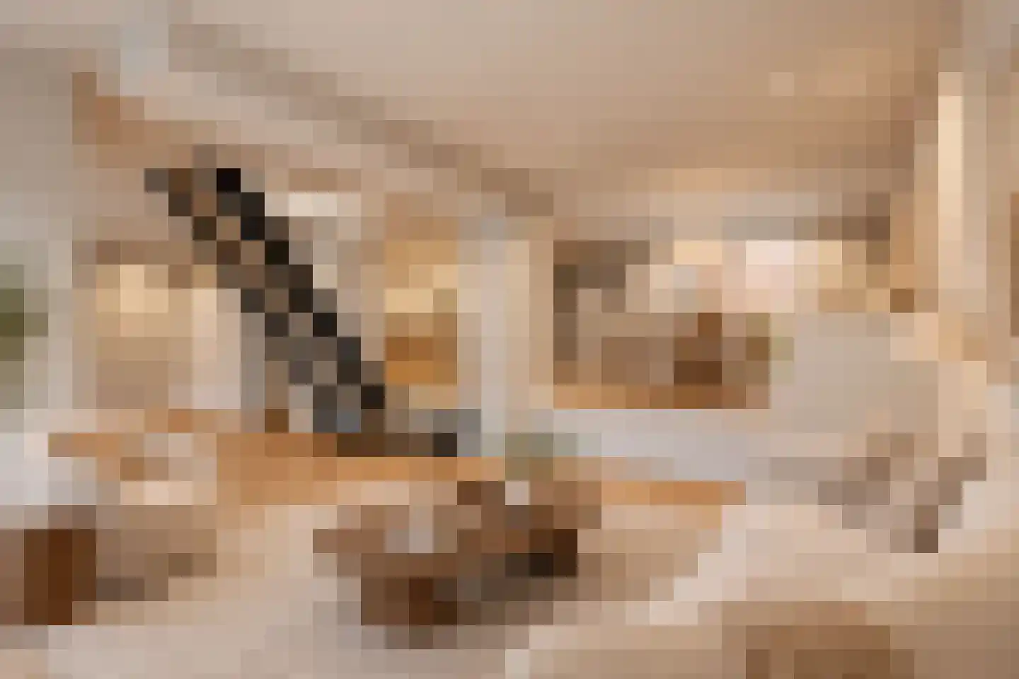 Nieuwlandsedijk 91 Lage Zwaluwe thumbnail 6