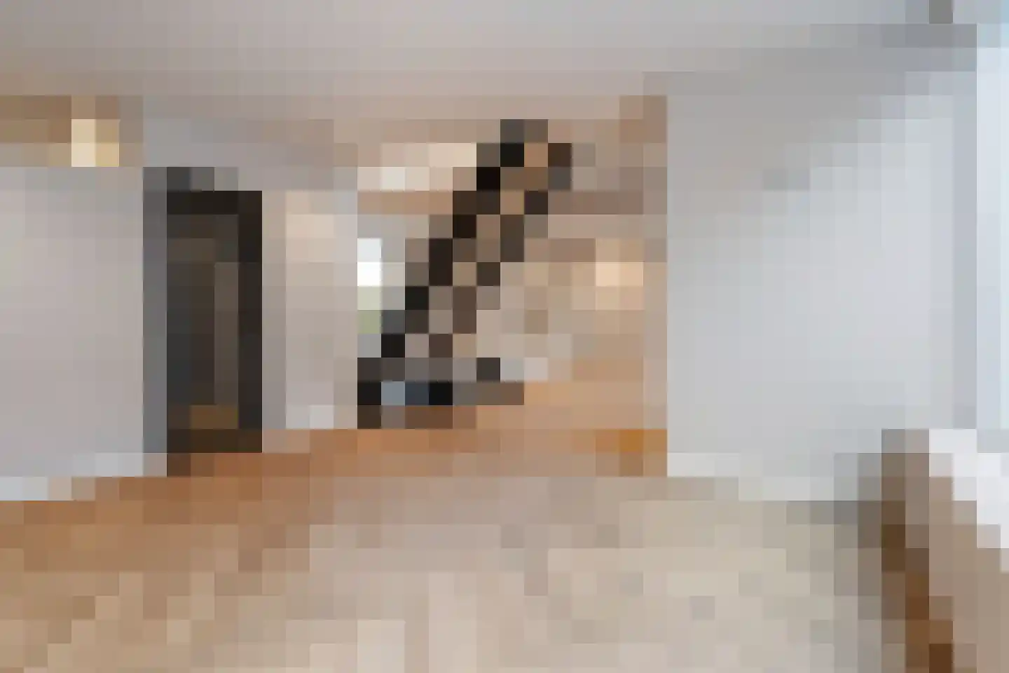 Nieuwlandsedijk 91 Lage Zwaluwe thumbnail 8