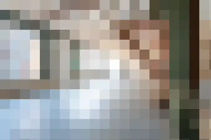 Nieuwlandsedijk 91 Lage Zwaluwe thumbnail 8