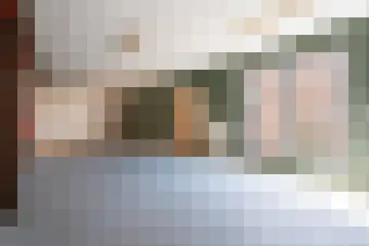 Nieuwlandsedijk 91 Lage Zwaluwe thumbnail 9