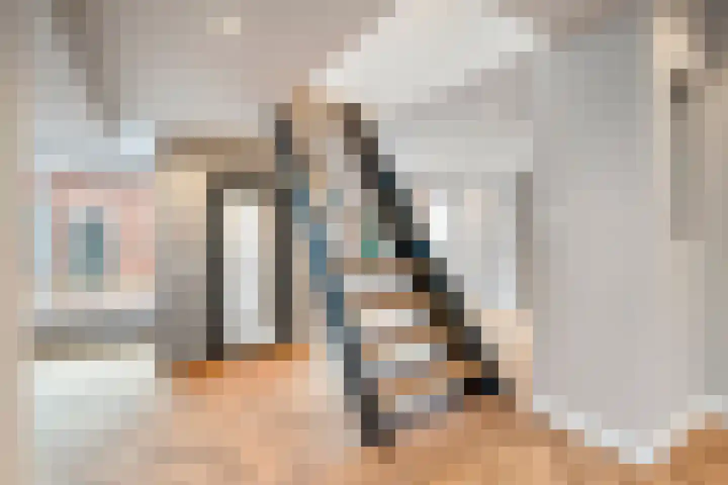 Nieuwlandsedijk 91 Lage Zwaluwe thumbnail 9