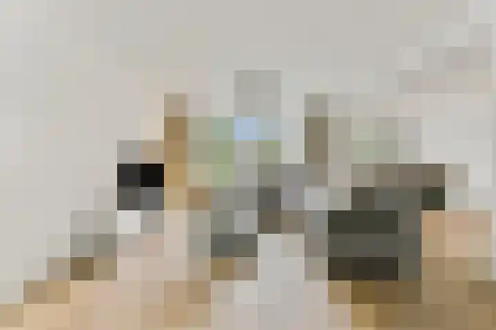 Nieuwlandsedreef 131 Amersfoort thumbnail 4