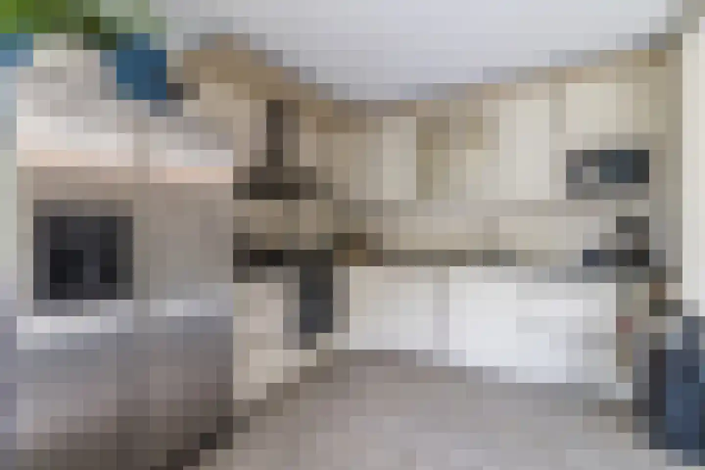 Nieuwlandsedreef 155 Amersfoort thumbnail 11