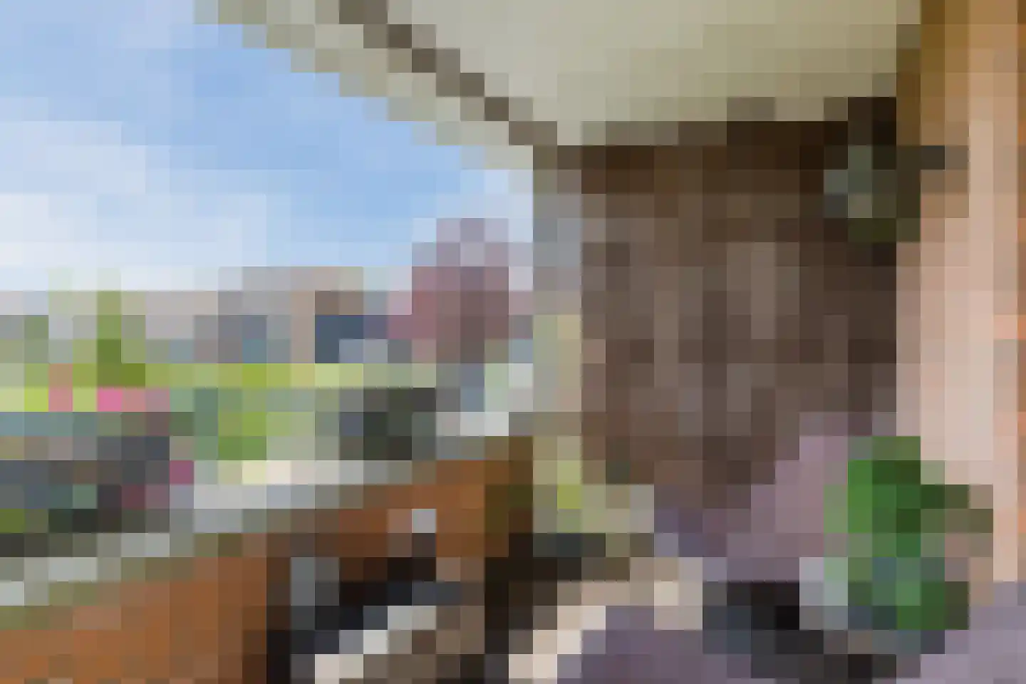 Nieuwlandsedreef 155 Amersfoort thumbnail 26