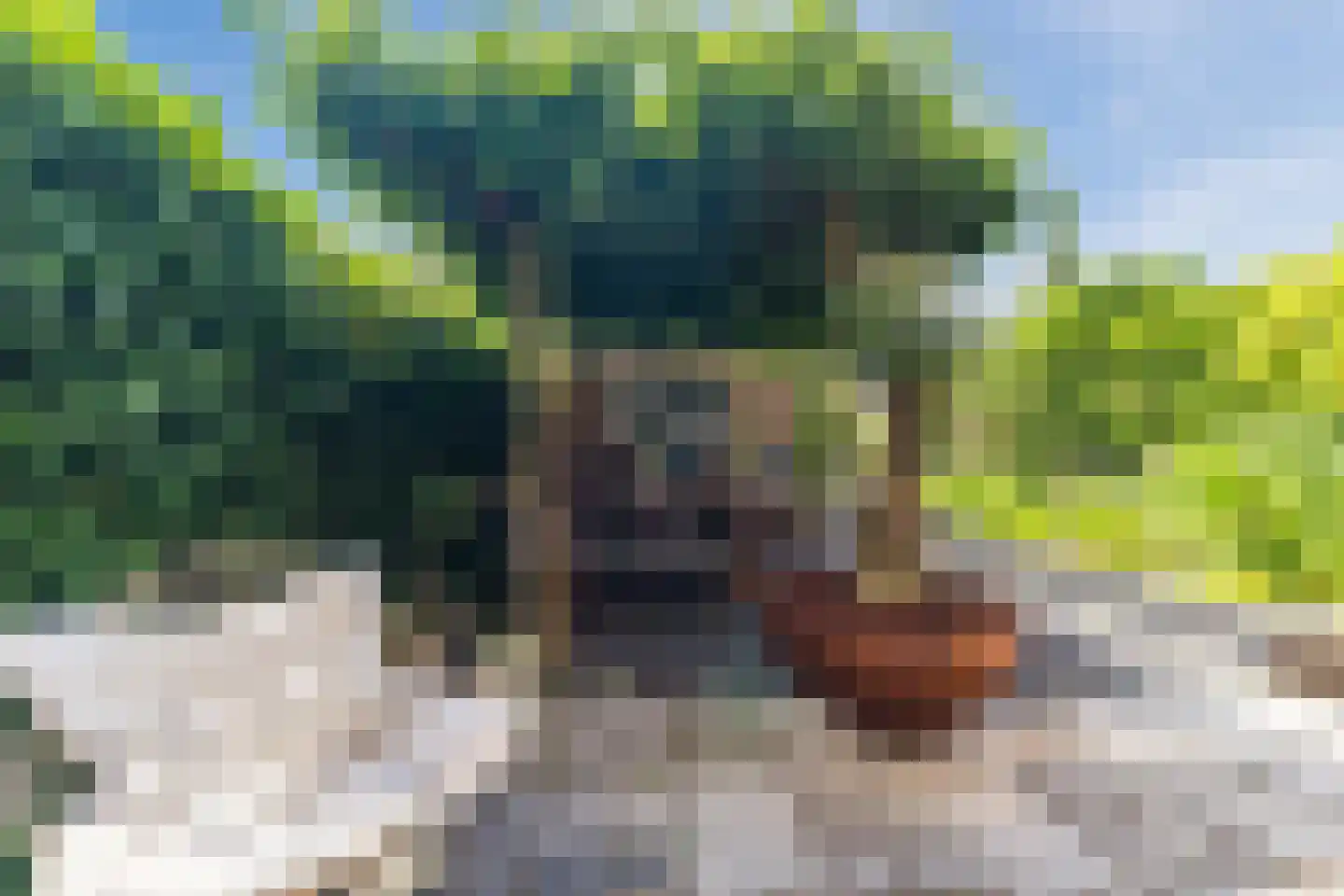 Nieuwlandsedreef 155 Amersfoort thumbnail 35