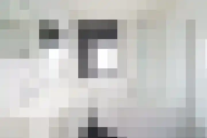 Nieuwlandsedreef 16 Amersfoort thumbnail 23