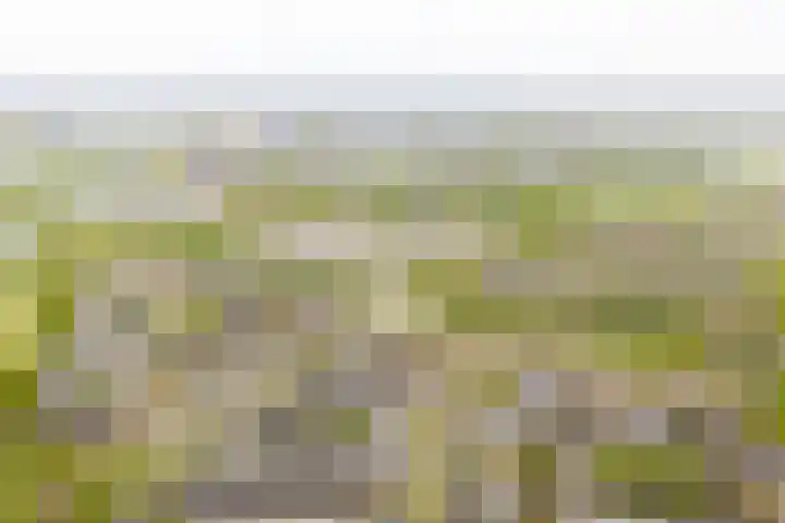 Nieuwlandsedreef 16 Amersfoort thumbnail 31