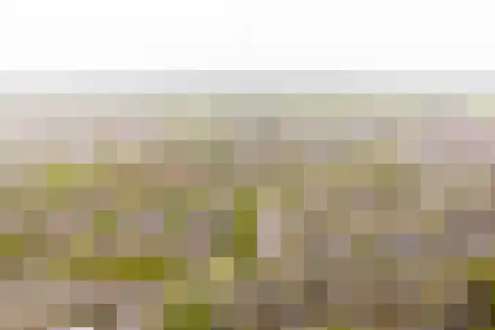 Nieuwlandsedreef 16 Amersfoort thumbnail 34