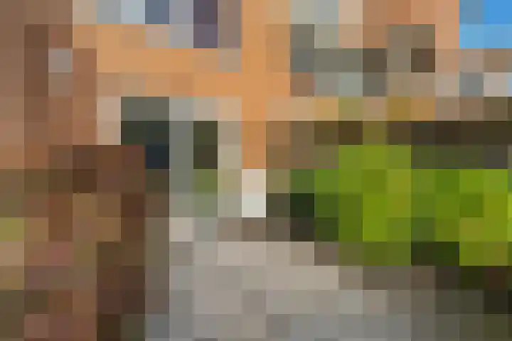 Nieuwlandsedreef 175 Amersfoort thumbnail 32