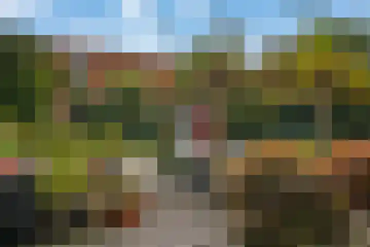 Nieuwlandsedreef 175 Amersfoort thumbnail 33