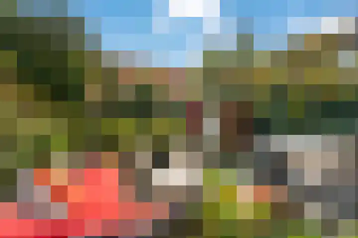 Nieuwlandsedreef 175 Amersfoort thumbnail 5